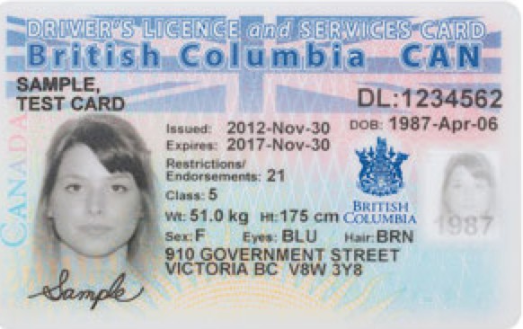 Free Drivers License Records – How to Perform a Lookup