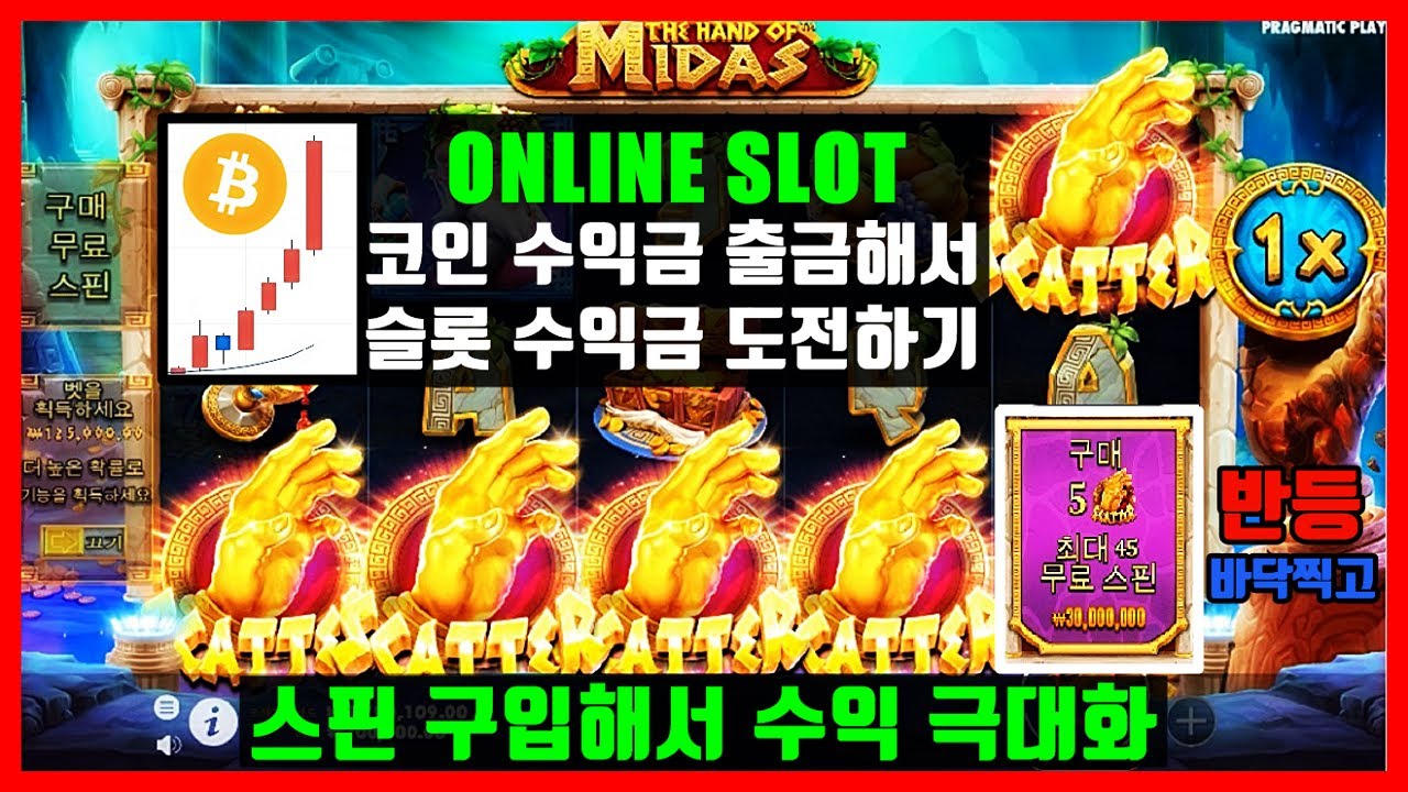 Jungle Wild Slots – A Slot Player Favorite