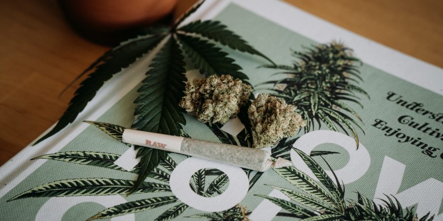 Navigating the World of Cannabis: A Comprehensive Guide to Dispensaries