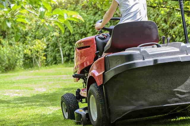 The Mexican Lawnmower: Navigating Regulations and Best Practices